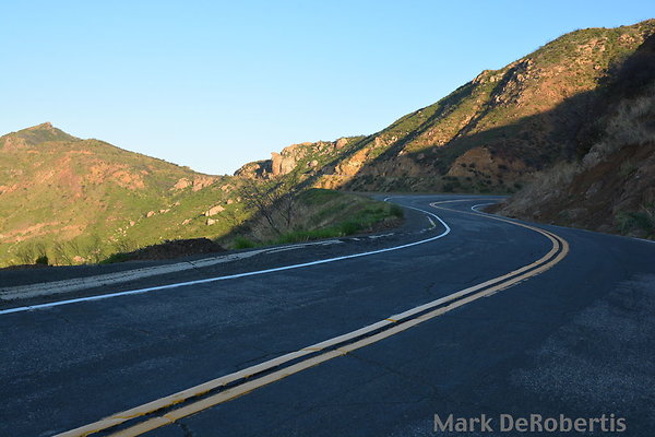 04 Little Sycamore 0.48