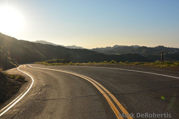 01 Little Sycamore 0.6