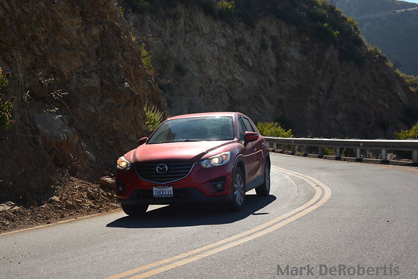 MDR 3189 x MDR 3189 x