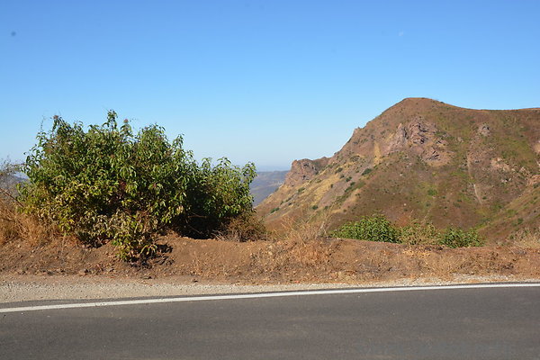 MDR 3199 - 35mm MDR 3199 - 35mm