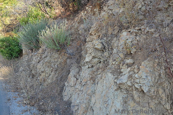 MDR 3201 - 9am MDR 3201 - 9am