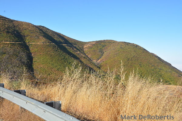 MDR 2983 - 8am MDR 2983 - 8am