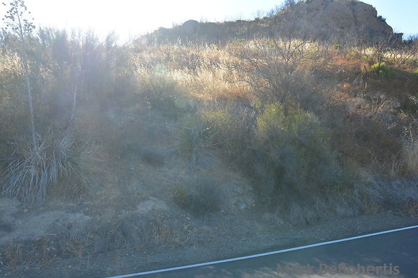 MDR 2981 - 35mm MDR 2981 - 35mm