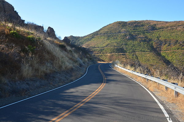 MDR 2982 - 130deg MDR 2982 - 130deg