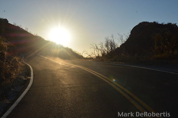 MDR 2819 - 60deg MDR 2819 - 60deg