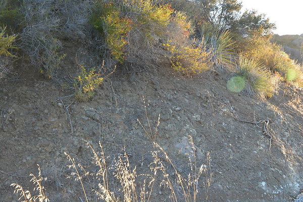 MDR 2818 - 35mm MDR 2818 - 35mm