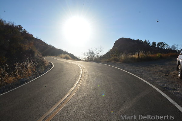 MDR 2909 - 715am Now MDR 2909 - 715am Now