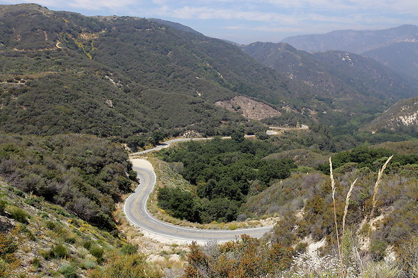 IMG 0523 IMG 0523