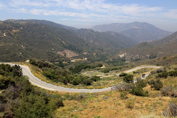 IMG 0545 IMG 0545