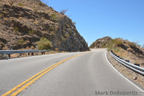 MDR 2459 - 290deg MDR 2459 - 290deg