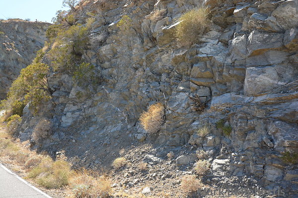 MDR 2683 - 415pm MDR 2683 - 415pm