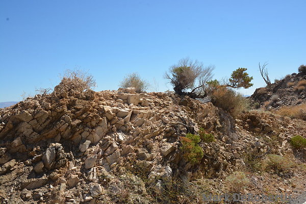 MDR 2015 - 35mm MDR 2015 - 35mm