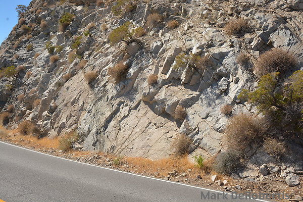 MDR 2017 - 945am MDR 2017 - 945am