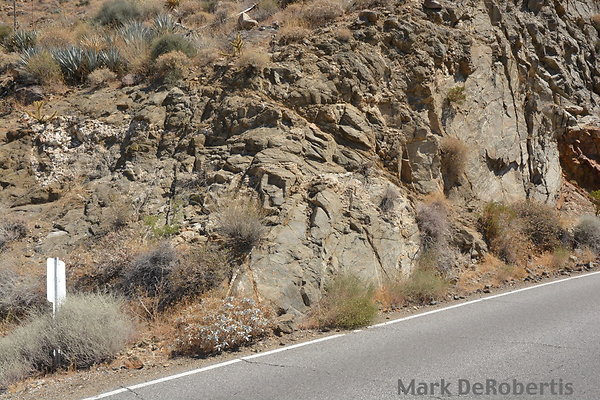 MDR 2526 - 35mm MDR 2526 - 35mm