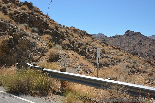 MDR 2528 - 310pm MDR 2528 - 310pm