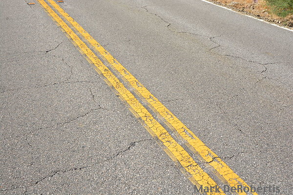 MDR 1901 Copy - Begin 360