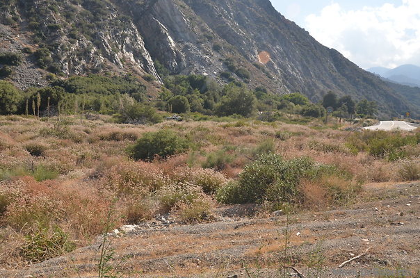 MDR 5168 MDR 5168
