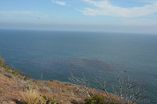 MDR 3259 MDR 3259