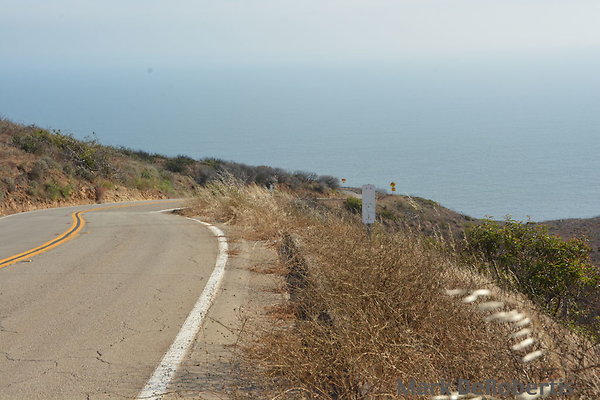 MDR 3229 MDR 3229
