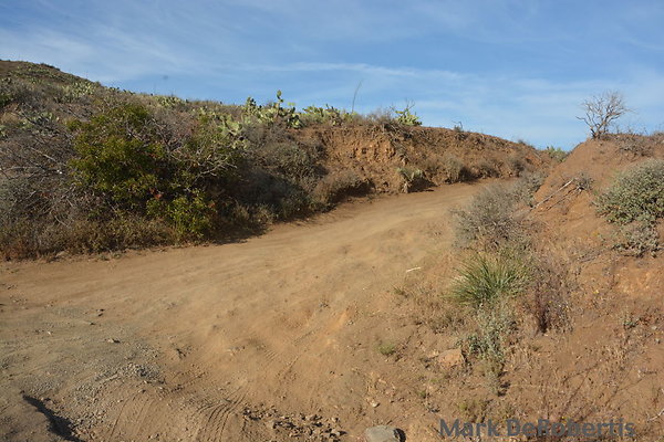 MDR 3232 MDR 3232