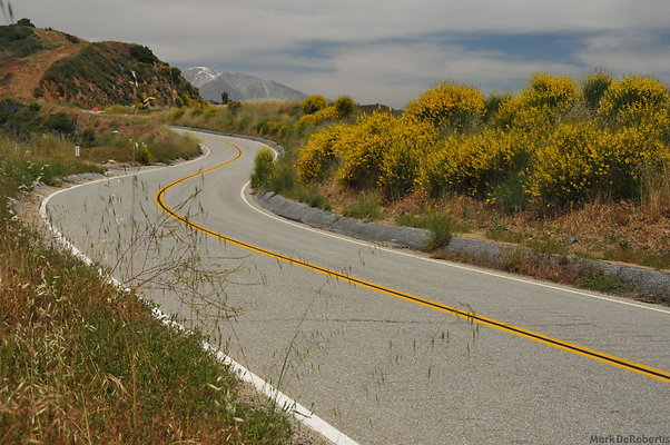 MDR 3955 MDR 3955