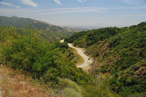 MDR 3695 MDR 3695