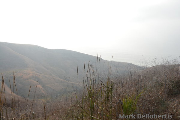 MDR 8942 - 35mm MDR 8942 - 35mm