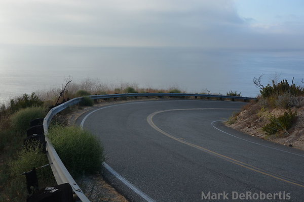 MDR 8889 - 170deg MDR 8889 - 170deg