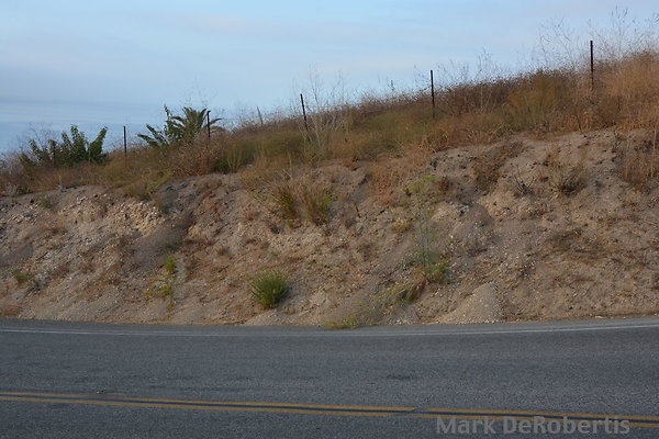 MDR 8890 - 845am MDR 8890 - 845am