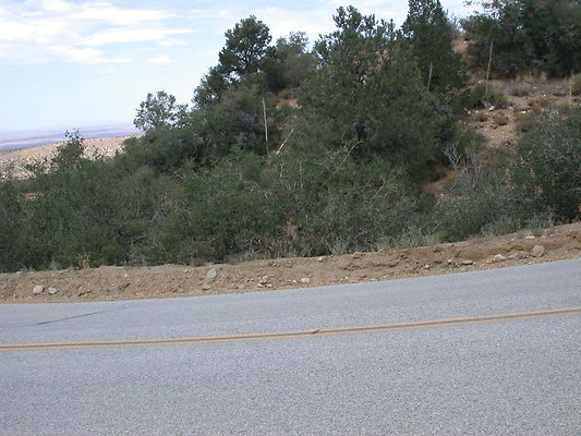 DSCN8196