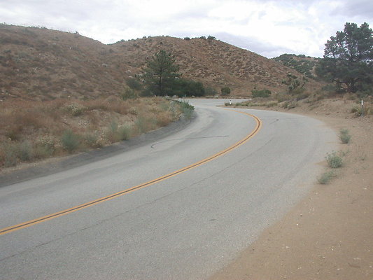 DSCN8266