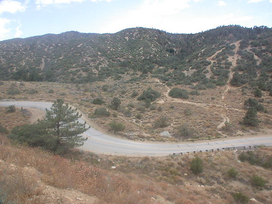 DSCN8250