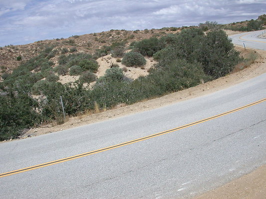 DSCN8223
