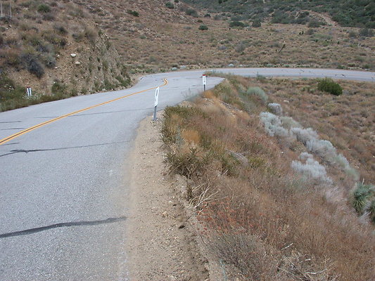DSCN8254