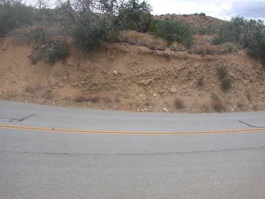 DSCN8244