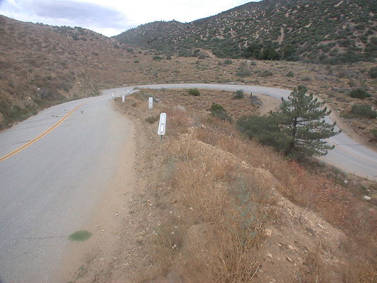 DSCN8249