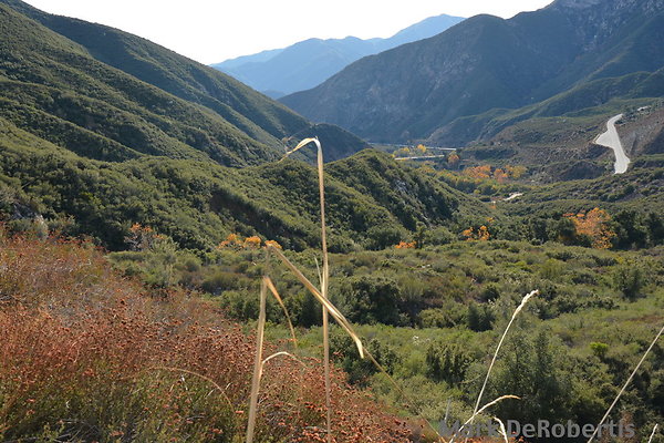 MDR 1911 - 35mm MDR 1911 - 35mm