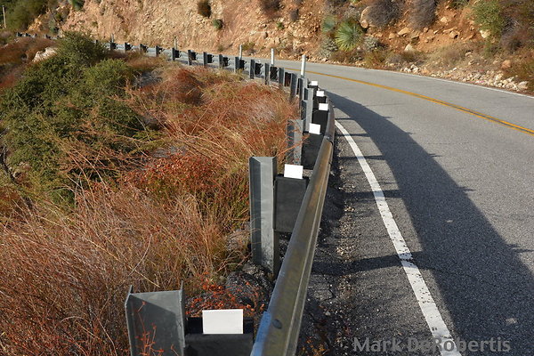 MDR 1913 - 230pm MDR 1913 - 230pm