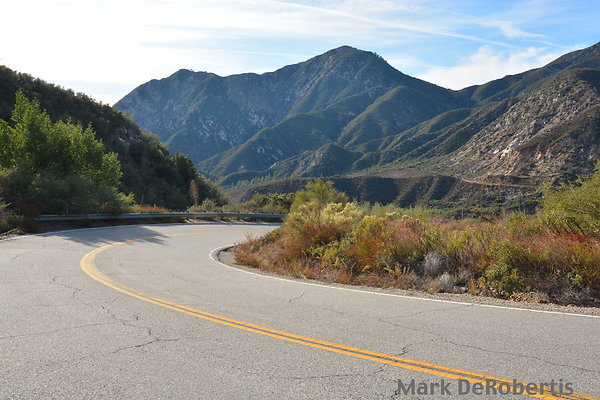 MDR 1872 - 240deg MDR 1872 - 240deg