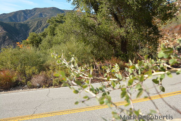 MDR 1873 - 2pm MDR 1873 - 2pm