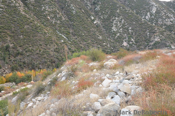 MDR 2066 - 35mm MDR 2066 - 35mm