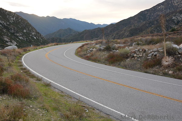 MDR 2067 - 240deg MDR 2067 - 240deg