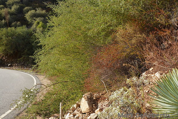 MDR 1820 - 2pm MDR 1820 - 2pm