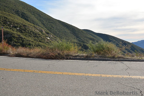 MDR 1818 - 35mm MDR 1818 - 35mm