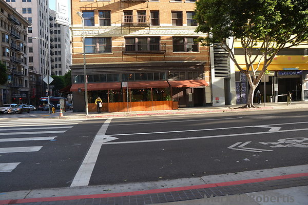 02 Olive 8th To 9th 11-2020