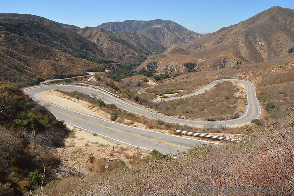 MDR 4831 - 24mm 270deg 115pm