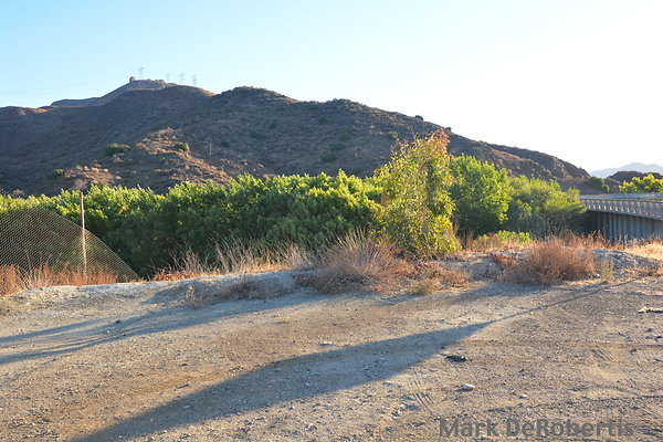 MDR 4373 - 35mm MDR 4373 - 35mm