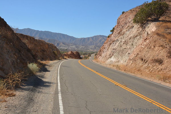 MDR 4736 - 200deg MDR 4736 - 200deg