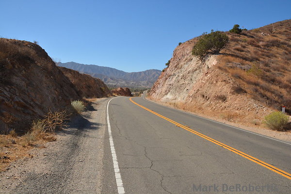 MDR 4741 - 24mm  200deg   11am MDR 4741 - 24mm  200deg   11am