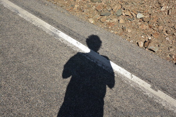 MDR 3788 - Turned Around, Headed Back MDR 3788 - Turned Around, Headed Back